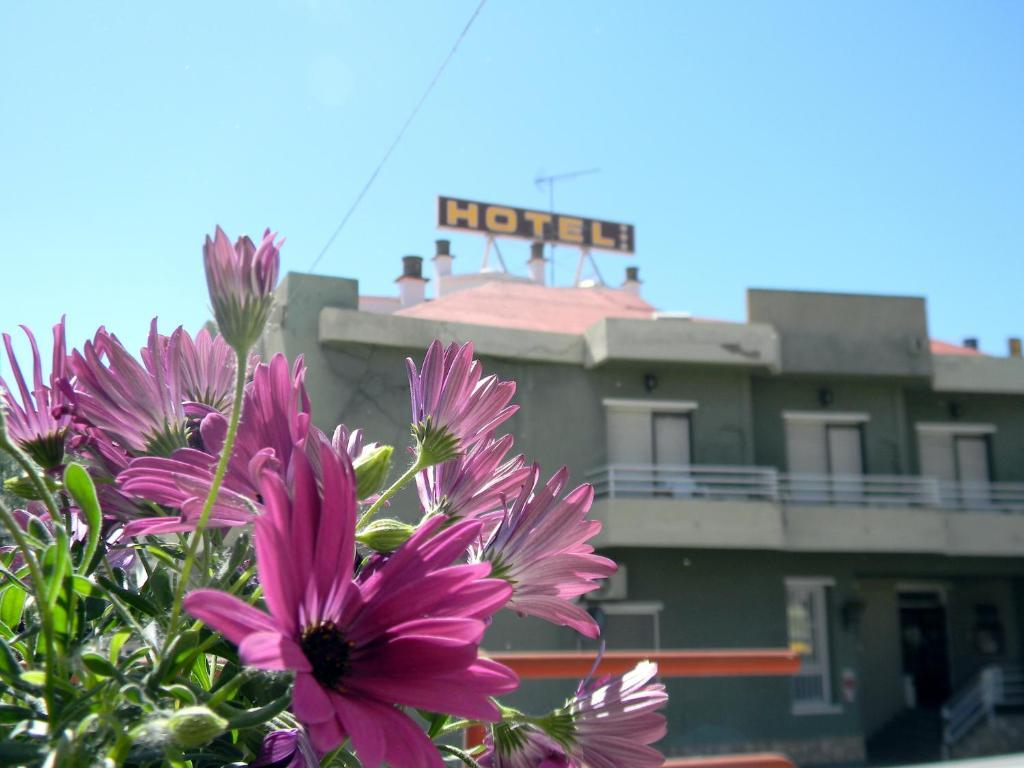 Hotel Restaurante Las Galias Zuera Екстер'єр фото